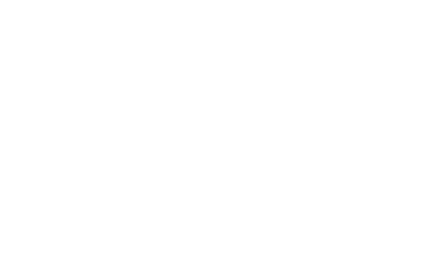 Import Garage