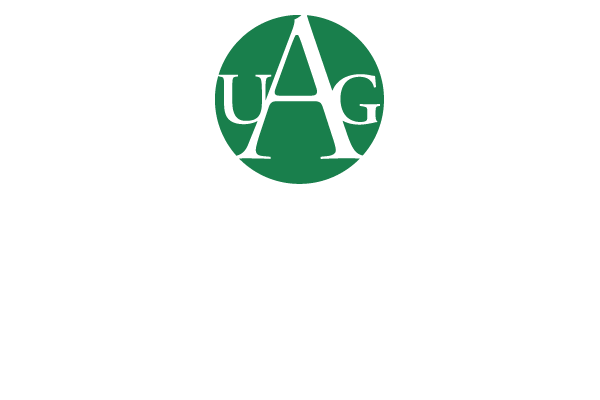 Ultimate Automotive Group